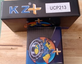 GỐI ĐỠ KZ - UCP213